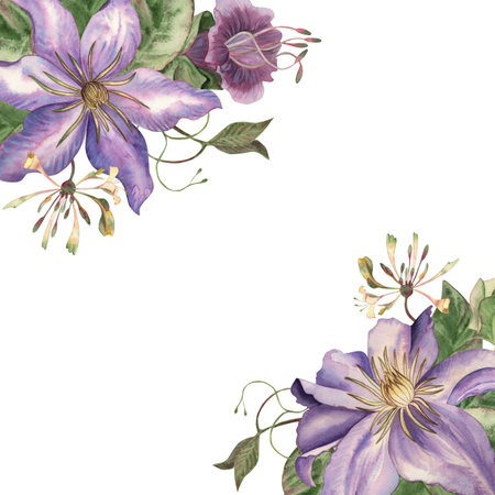 Floral frame with purple clematis, delicate honeysuckle and juicy green leaves. Elegant watercolor illustration, hand-drawn in botanical style. For wedding invitations, greeting cards and packaging.の写真素材
