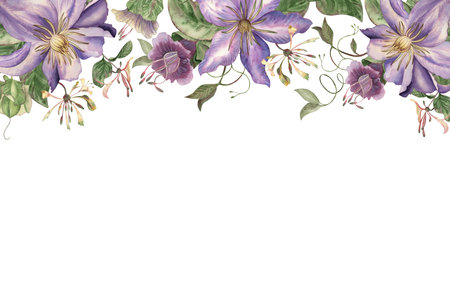 Floral rectangular frame decorated with purple clematis, cobaea flowers, climbing vines on top. Hand-drawn botanical watercolor illustration in lilac, purple, green tones. For invitations, postcardsの写真素材
