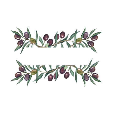 Watercolor illustration of olive branches with green and black fruits and long leaves. Hand-painted botanical frame with space for text. Perfect for Mediterranean, organic, natural, culinary designの写真素材