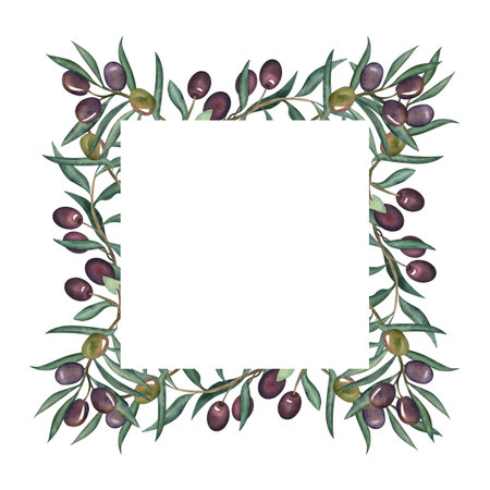 Watercolor square frame made of olive branches with green and black fruits and leaves. Hand-painted botanical border, perfect for invitations, menus, labels, organic branding, and Mediterranean designの写真素材