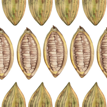 Seamless pattern featuring whole and halved cocoa beans. Hand-painted watercolor in botanical style with earthy tones of yellow, green, and brown. Ideal for fabric, wallpaper, and textile designの写真素材