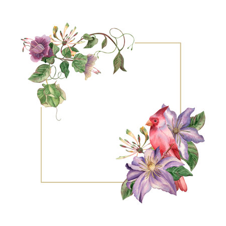 A square frame depicting a summer garden, intertwined with flowers of purple and lilac shades, with a bird. Clematis, ivy, creeper, leaves are hand-painted in watercolor in a botanical style. Weddingsの写真素材