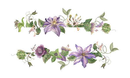 Elegant watercolor floral rectangular frame with purple flowers of clematis, honeysuckle, cobea and climbing vines. Handmade botanical illustration, perfect for wedding invitations, greeting cardsの写真素材