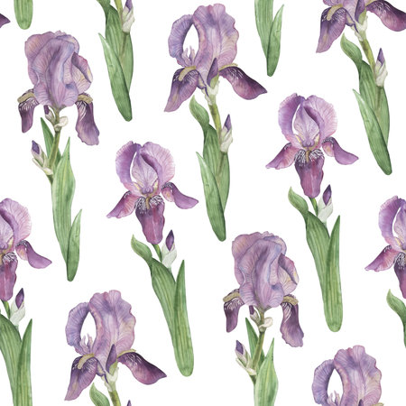 Seamless pattern with purple, lilac irises, green leaves. Watercolor illustration with flowers is hand-drawn in botanical style. For wallpaper design, textiles, wrapping paper, wedding printingの写真素材