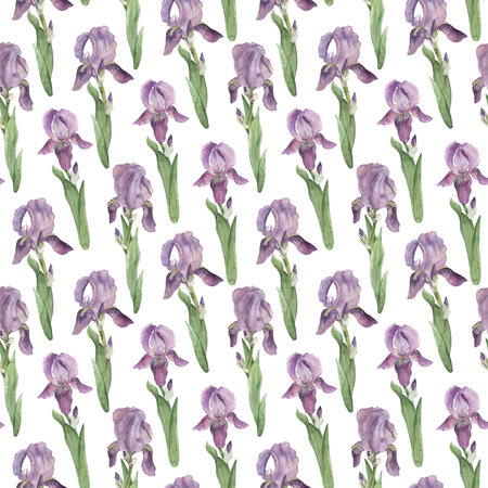 Seamless pattern with purple, lilac irises, green leaves. Watercolor illustration with flowers is hand-drawn in botanical style. For wallpaper design, textiles, wrapping paper, wedding printingの写真素材
