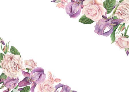 Rectangular frame decorated with flowers diagonally. Purple irises, pink roses, green leaves. The illustration is hand-drawn in watercolor in a botanical style. For wedding design, packaging, postcardの写真素材