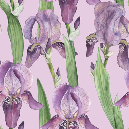Seamless pattern with lilac irises, green leaves on a light purple background. The floral illustration is hand-painted in watercolor in a botanical style. For wallpaper, textile, fabric, paper designの写真素材