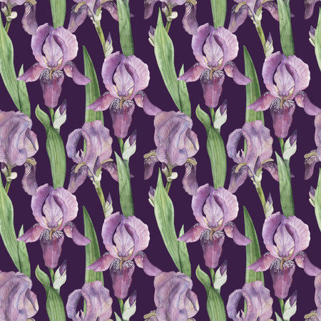 Seamless pattern with lilac irises, green leaves on a dark purple background. The flower illustration is hand-painted in watercolor in a botanical style. For wallpaper design, textiles, fabric, paperの写真素材