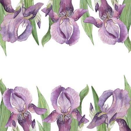 A square frame of purple irises. The watercolor illustration is hand-painted in bright purple flowers in a botanical style. Perfect for card design, wedding invitations, packagingの写真素材