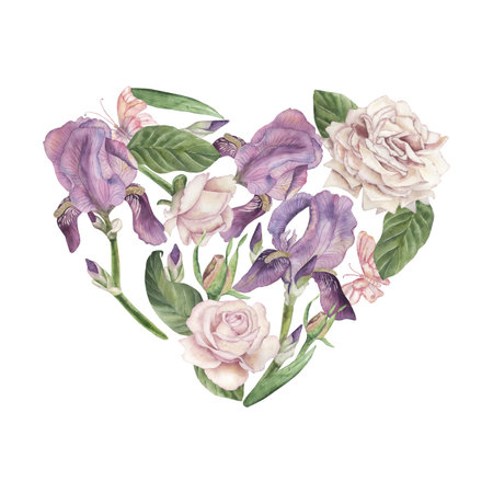 A heart-shaped composition of purple irises and pink roses. The watercolor illustration is hand-drawn in a botanical style, in pastel colors. For postcards, wedding invitations, packagingの写真素材