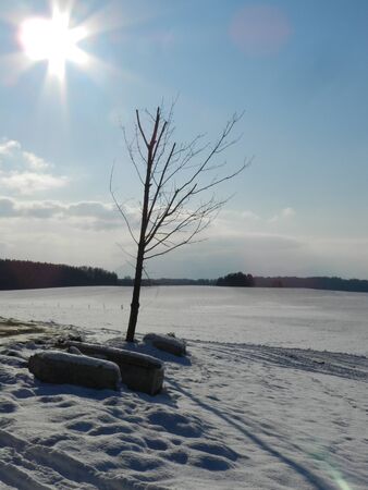 winter in traunstein germanyの写真素材