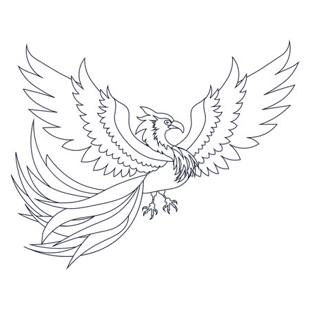 Phoenix. The magic bird. outlineのイラスト素材