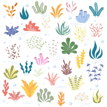Sea plants and algae set. Plants in the aquarium. Vector illustration.のイラスト素材