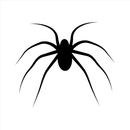 Spider silhouette icon for halloween. Vector illustration.のイラスト素材