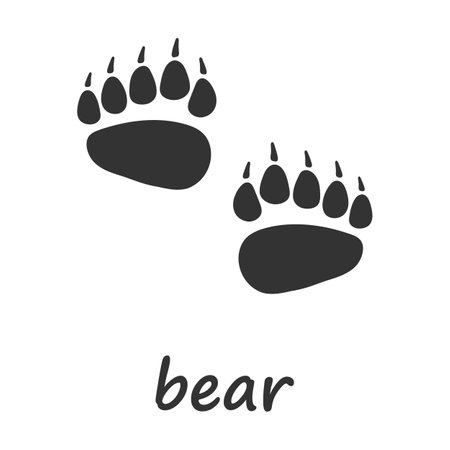 Bear paws. Bear paw print. Vector illustration.のイラスト素材