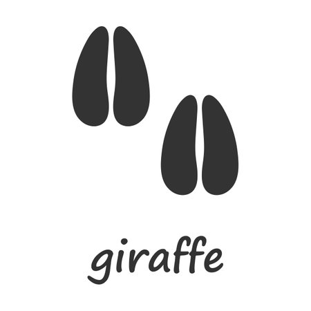 Giraffe hooves. Giraffe hoof print. Vector illustration.のイラスト素材