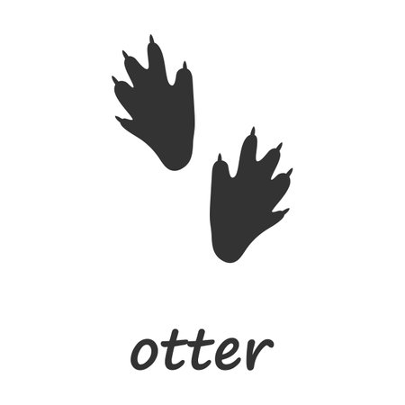 Otter paws. Otter paw print. Vector illustration.のイラスト素材
