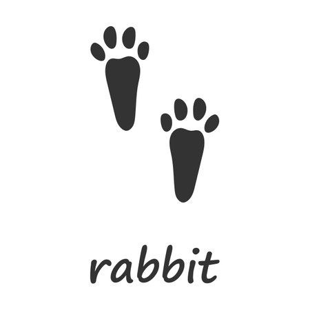 Rabbit paws. Rabbit paw print. Vector illustration.のイラスト素材
