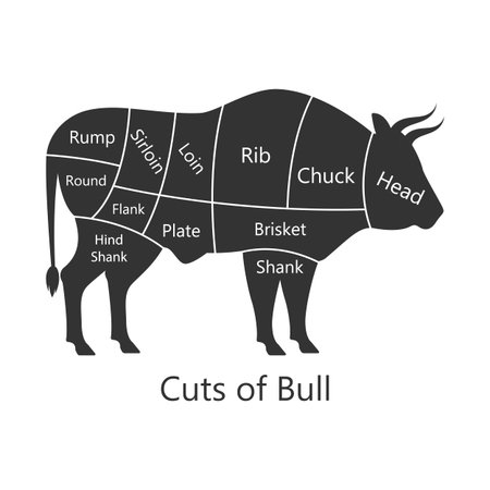Bull butchery diagram. Cuts of bull. Perfect for restaurant menus and educational materials. Vector Illustration.のイラスト素材