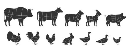 Animal meat dissection diagrams. Bull, chicken, goose, cow, duck, ram, turkey, quail, rooster, hen, goat, rabbit, goat, pig. Vector illustration.のイラスト素材