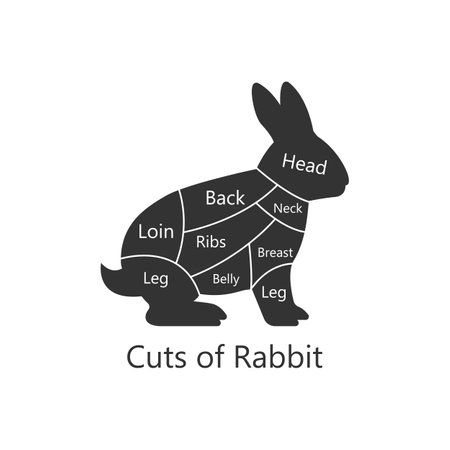 Rabbit, hare butchery diagram. Cuts of Rabbit. Perfect for restaurant menus and educational materials. Vector Illustration.のイラスト素材