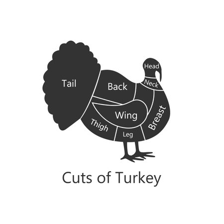 Turkey butchery diagram. Cuts of Turkey. Perfect for restaurant menus and educational materials. Vector Illustration.のイラスト素材