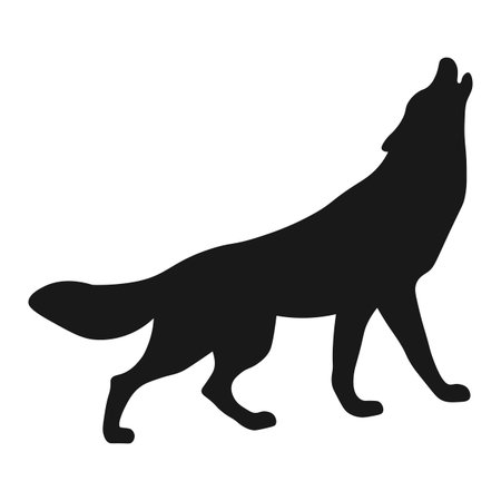 Wolf silhouette isolated on white background. Vector