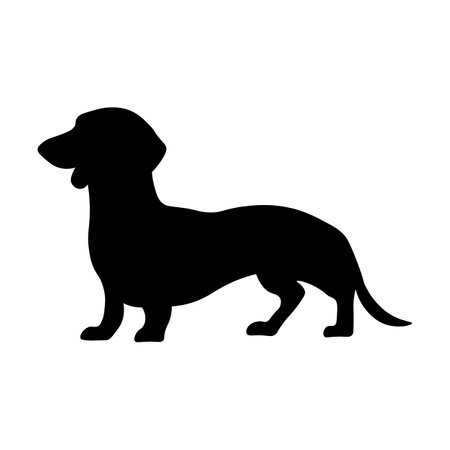 Dog silhouette isolated on white background. Dachshund silhouetteのイラスト素材