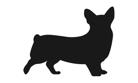 Dog silhouette. Corgi silhouette isolated on white background.のイラスト素材