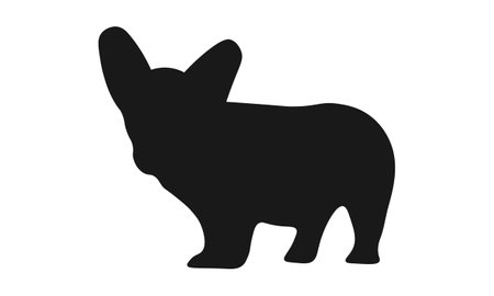 Dog silhouette. Corgi silhouette isolated on white background.のイラスト素材