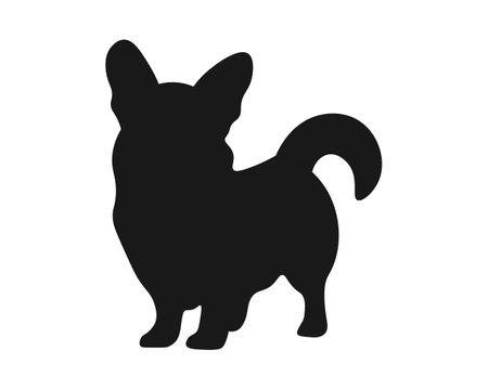 Dog silhouette. Corgi silhouette isolated on white background.のイラスト素材