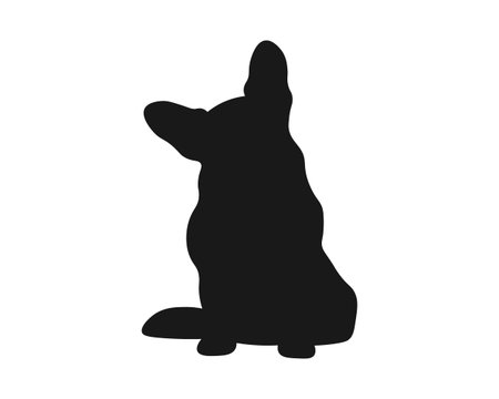 Dog silhouette. Corgi silhouette isolated on white background.のイラスト素材