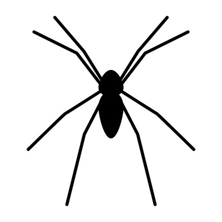 Spider silhouette icon. Halloween decor. Vector illustration.のイラスト素材