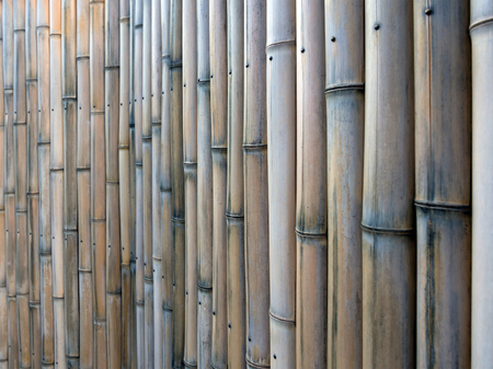 Fragment of a fence made of bamboo sticksの写真素材