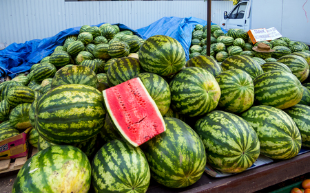 Watermelon vendor tray trayの写真素材
