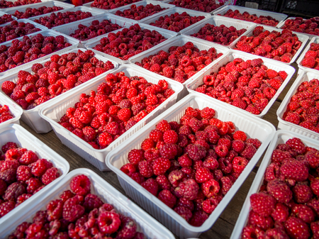 Trays with ripe raspberries on the counter of the vegetable marketの写真素材