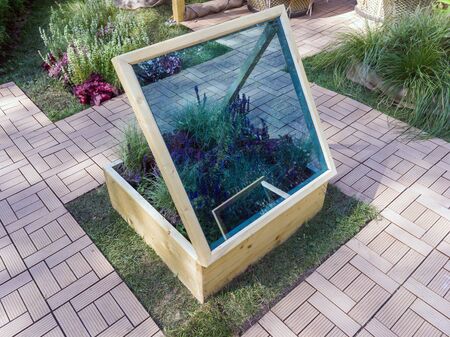 Glass mini-greenhouse over a flower bed with plantsの写真素材