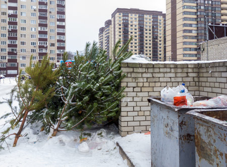Voronezh, Russia - January 19, 2021: Christmas trees thrown into the trashのeditorial素材