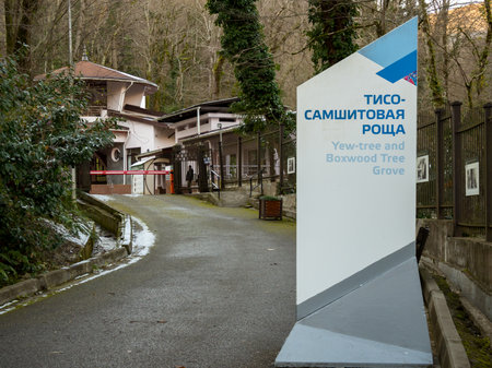 Sochi, Russia - February 13, 2023: Sign at the entrance to the Yew-boxwood grove, Khosta district, Sochiのeditorial素材