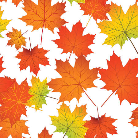 The illustration of seamless pattern with red, green, yellow maple leaves on white background without transparencyのイラスト素材