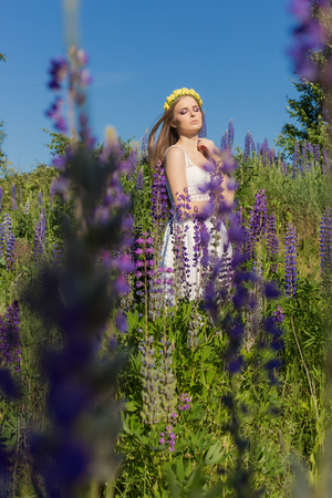 beautiful cute gentle girl in white sundress with a wreath of roses on her head walks a field with lupineの写真素材