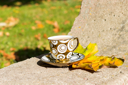 small golden cup of tea on a saucer standing on a bench in the autumn the warm sunny dayの写真素材