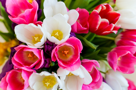 Beautiful big spring bouquet of multicolored tulipsの写真素材