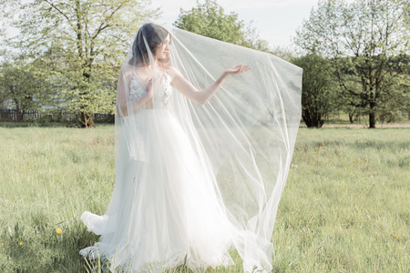 Beautiful sweet girl bride in a gentle air wedding dresses veil in a blooming spring garden in the rays of the sunlight at sunset. Fine art styleの写真素材