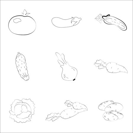 set pattern with vegetables on the background, natural food, stock vector. Modern stylish abstract texture. Template for prints, textile, wrapping and decoration, wallpaper. Vector illustrationのイラスト素材