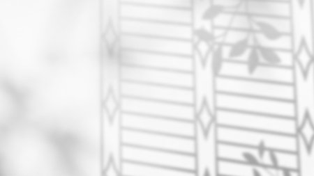 Tropical leaves natural shadow overlay on white background, for overlay on product presentation.の写真素材