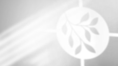 Tropical leaves natural shadow overlay on white background, for overlay on product presentation.の写真素材