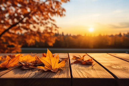 Autumn Leaves Resting on Wooden Planks Against a Sunset Backdrop in a Serene Parkの素材