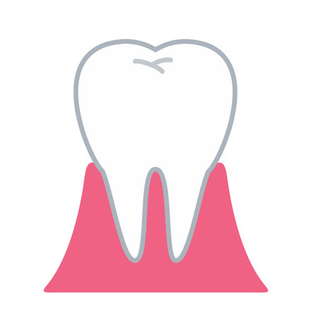 Healthy teeth and gumsのイラスト素材