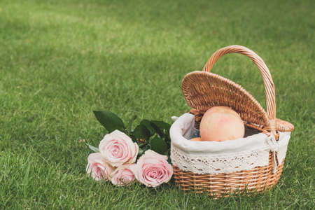 Pink rose and peach in basket on greenfieldの写真素材